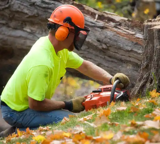 tree services Buena